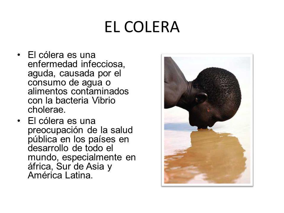 Enfermedades causadas por consumo de agua contaminada